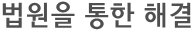법원을 통한 해결